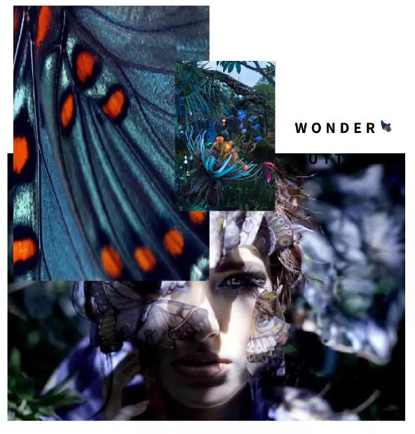 2019深圳時(shí)裝周倒計(jì)時(shí) | She's蝶變主題秀，四大看點(diǎn)提前get！