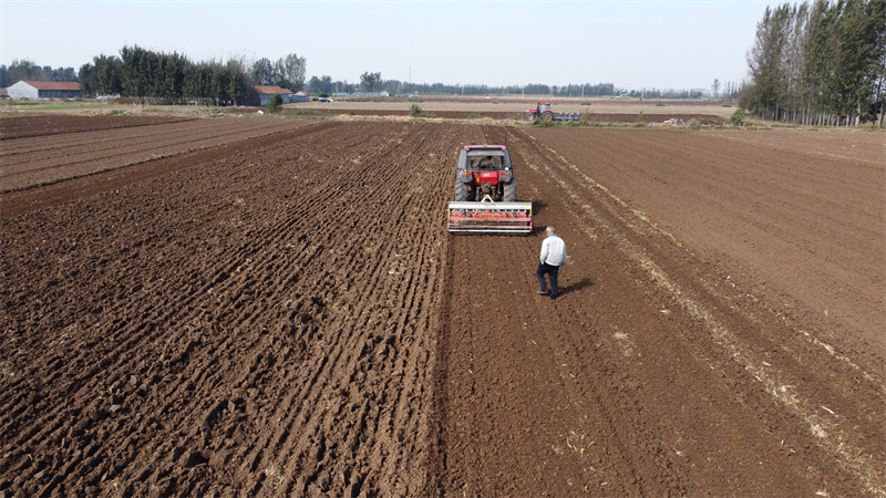 山東即墨：金秋時節(jié)農民搶抓農時播種小麥