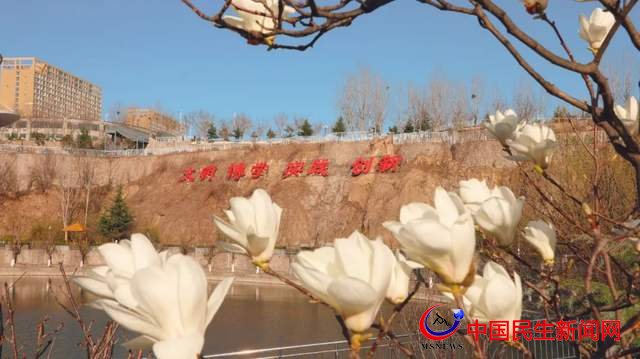 “凝聚精神的力量”恒星學(xué)院文化系列報(bào)道之十三：大學(xué)發(fā)展“123戰(zhàn)略”