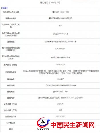 青島司泰特新材料科技公司違法非法結(jié)匯被罰2040萬 