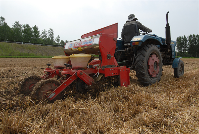 山東即墨：夏至到 農(nóng)事忙