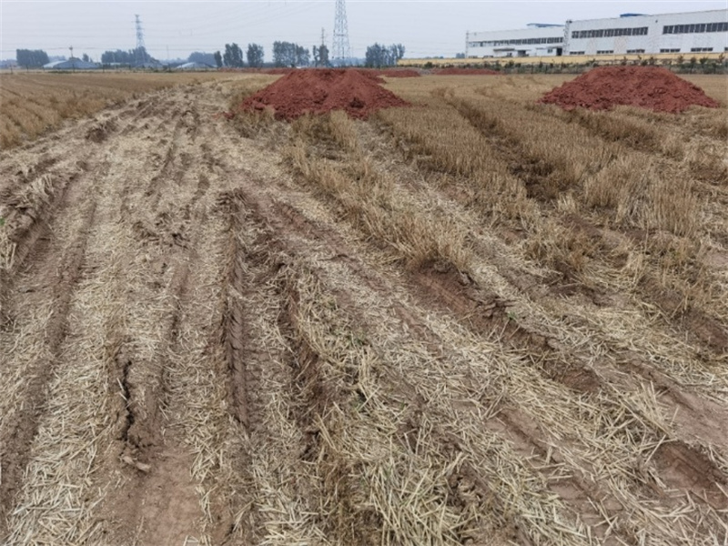 諸城市辛興鎮(zhèn)發(fā)展工業(yè)強(qiáng)行占耕地建廠，導(dǎo)致七八戶農(nóng)民無地可種