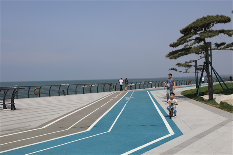 綠”動海岸線，“道”處是風景走，一起打卡市北濱海綠道看后海新“潮”