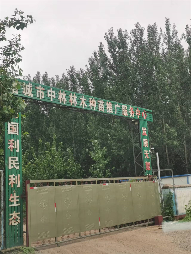 諸城市密州街道一苗圃內(nèi)暗藏非法采砂點(diǎn) 村委“掩護(hù)”意欲何為