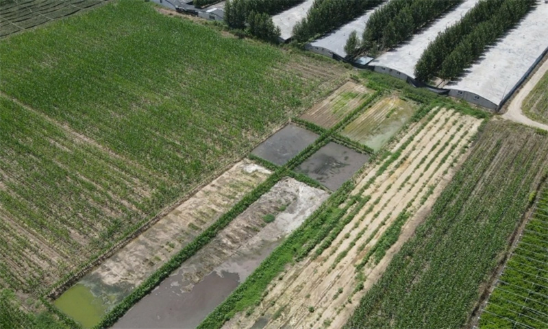 濰坊市昌樂(lè)縣五圖街道養(yǎng)鴨場(chǎng)污水直排農(nóng)田 污染環(huán)境浪費(fèi)土地