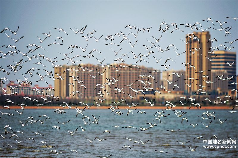 再添“國(guó)字號(hào)招牌”！青島市城陽(yáng)區(qū)獲評(píng)生態(tài)文明建設(shè)示范區(qū)