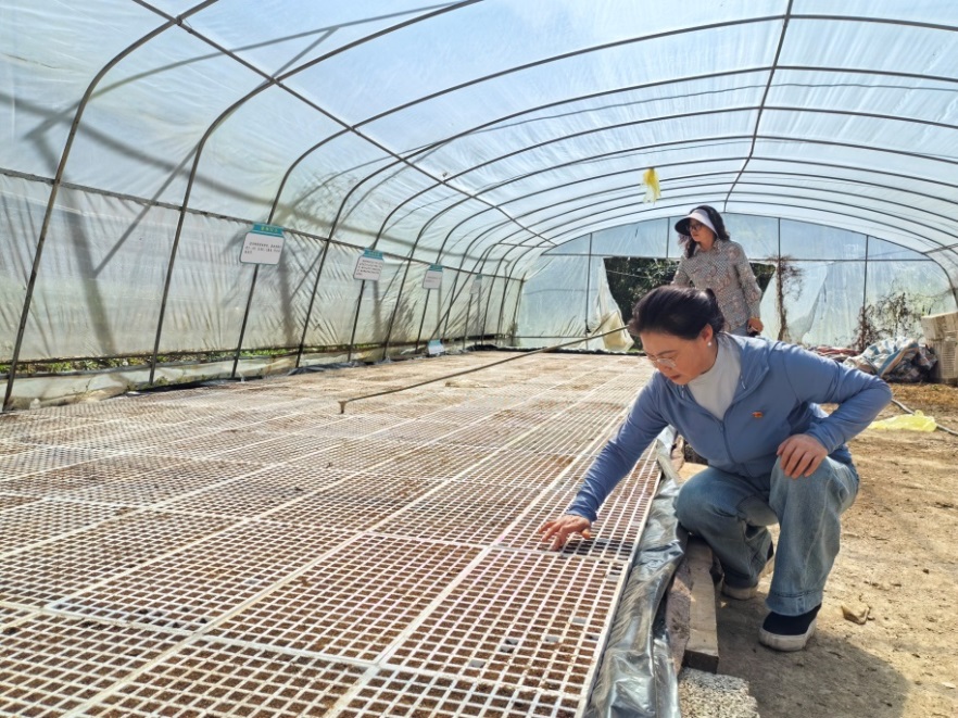 金融活水潤巴渝：中國人壽壽險(xiǎn)公司創(chuàng)新服務(wù)助力鄉(xiāng)村振興紀(jì)實(shí)